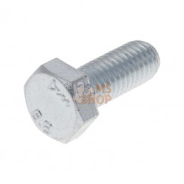 G07838028; AS-MOTOR; Vis à tête hexagonale (10x); pièce detachée