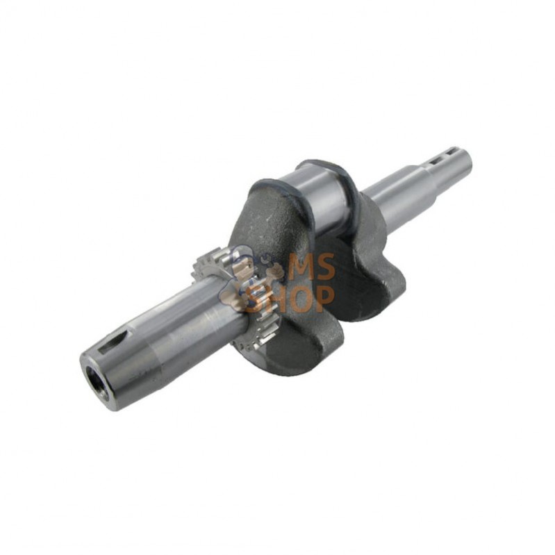 E10543ASM; AS-MOTOR; Vilebrequin; pièce detachée