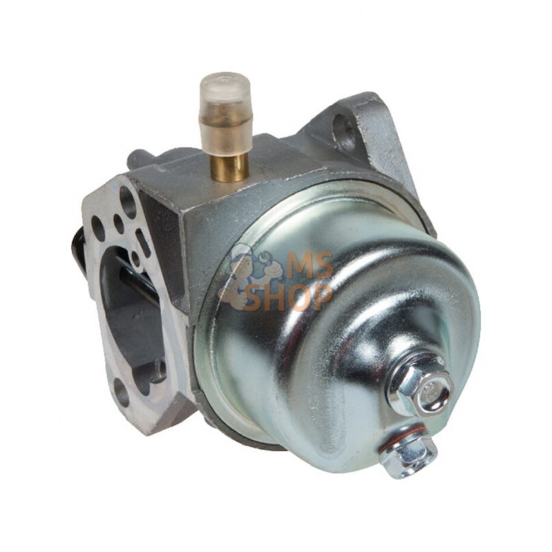 AK455229; AL-KO; Carburateur; pièce detachée