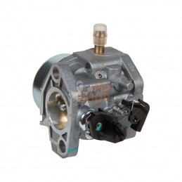 AK455229; AL-KO; Carburateur; pièce detachée