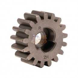 AK479079; AL-KO; Pignon droit; pièce detachée