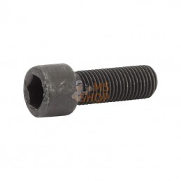 AK522515; AL-KO; Boulon de lame; pièce detachée