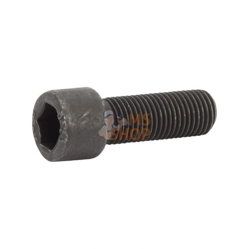 AK522515; AL-KO; Boulon de lame; pièce detachée
