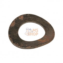 SL0034107; AL-KO; Rondelle élastique; pièce detachée