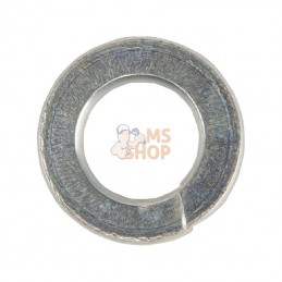 AK704746; AL-KO; Rondelle grower 6 mm; pièce detachée