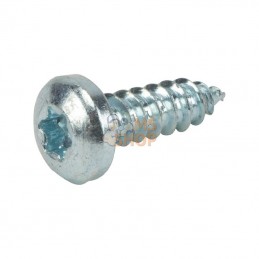 AK706592; AL-KO; Vis ST4,2x13 -C-TORX 7981A2K; pièce detachée