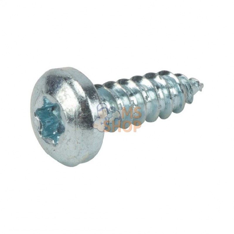 AK706592; AL-KO; Vis ST4,2x13 -C-TORX 7981A2K; pièce detachée