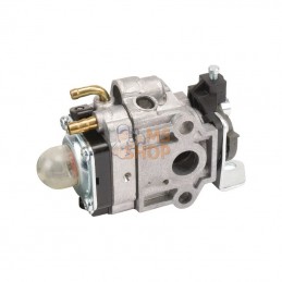 AK412255; AL-KO; Carburateur; pièce detachée