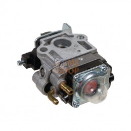AK411747; AL-KO; Carburateur; pièce detachée