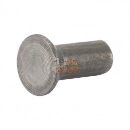 AK407178; AL-KO; Rivet tête fraisée 5x12 DIN661; pièce detachée