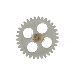 AK410002; AL-KO; Pompe à roue dentée; pièce detachée