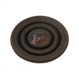 39151G16; AUTRE MARQUE; Membrane antigoutte pr Quadr; pièce detachée