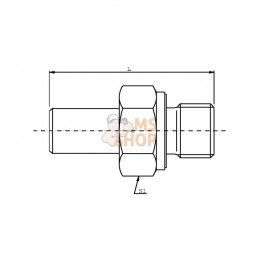 EGES18LR34RVS; AUTRE MARQUE; Pièce à visser droite Inox; pièce detachée