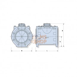 WM080F; AUTRE MARQUE; Compteur d'eau WST 3"; pièce detachée