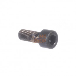90001305N; AUTRE MARQUE; Vis M10x1,25x25 gauche; pièce detachée