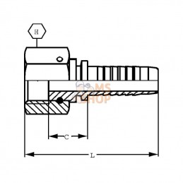 PFV108; ALFAGOMMA; Raccord face plane DN10-1/2BSP; pièce detachée