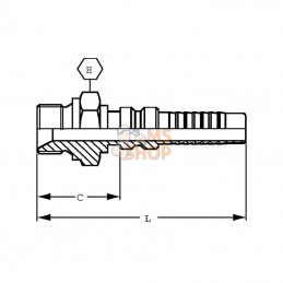 AGRH2012; ALFAGOMMA; Raccord 4SH-DN20-3/4" BSP; pièce detachée