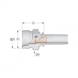 PS2020; ALFAGOMMA; Raccord DN20-M30x2.0-20S; pièce detachée