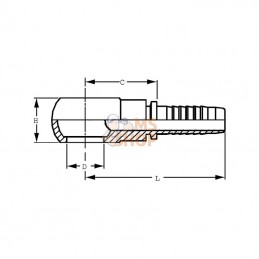 PQM510; ALFAGOMMA; Raccord sertir banjo DN05-M10; pièce detachée
