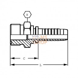 PCV611; ALFAGOMMA; Raccord sertir DN06-11/16 ORFS; pièce detachée