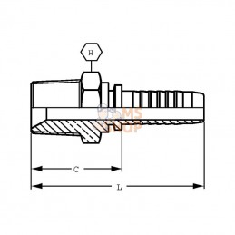 PE2516; ALFAGOMMA; Raccord à sertir DN25-1" NPT; pièce detachée