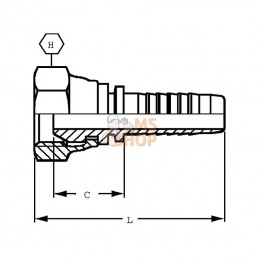 PF138P020; ALFAGOMMA; Raccord DN13-1/2 BSP 20pcs; pièce detachée