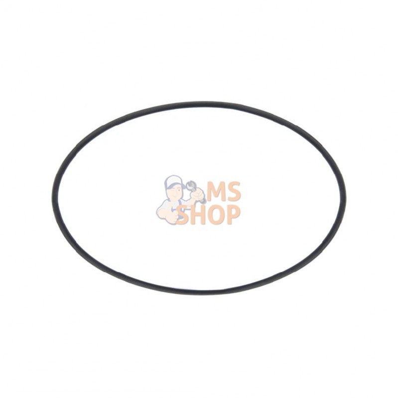 316300060; ARAG; Joint pr cartouche filtrante; pièce detachée 316300060; ARAG; Joint pr cartouche filtrante; pièce detachée