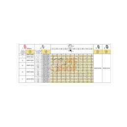 0058320900; ARAG; Porte-buse laiton double 1/4M; pièce detachée
