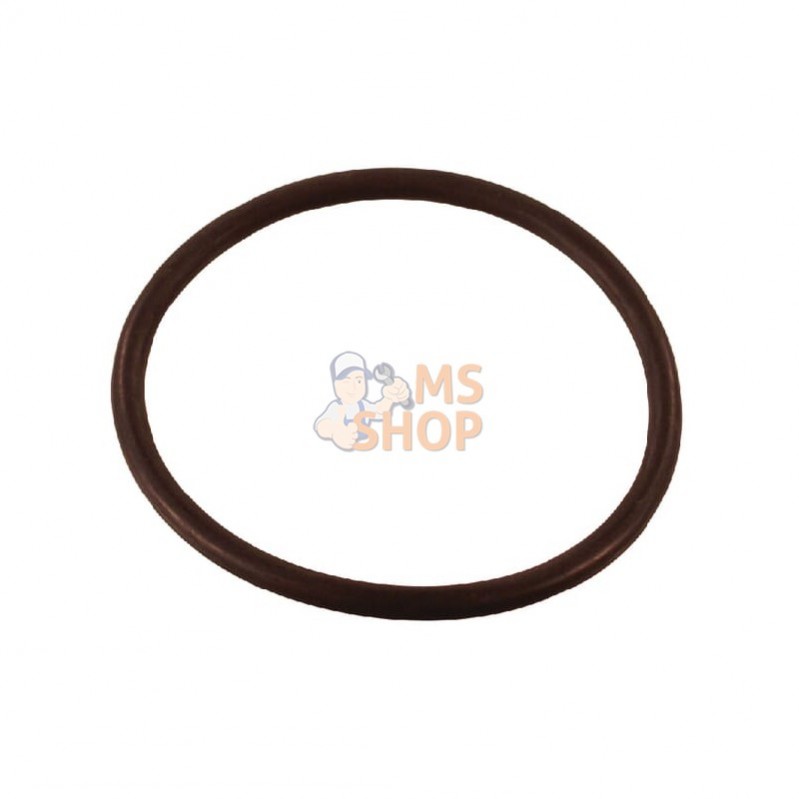 G10090; ARAG; Joint pour filtre de pression; pièce detachée G10090; ARAG; Joint pour filtre de pression; pièce detachée