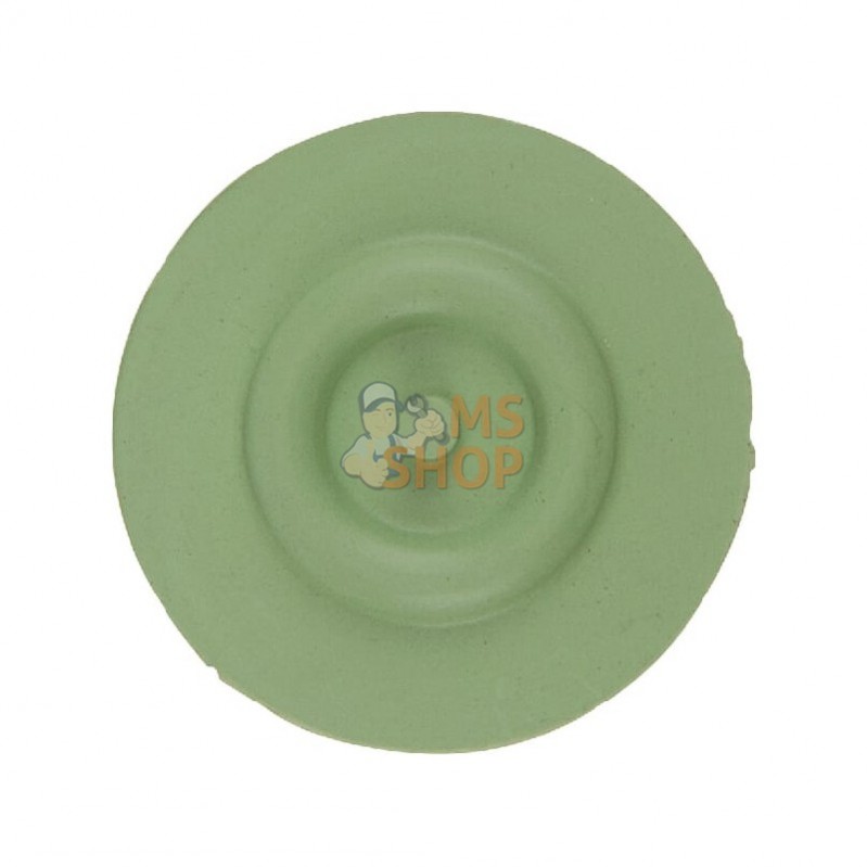 4246000220V; ARAG; Membrane Viton; pièce detachée 4246000220V; ARAG; Membrane Viton; pièce detachée