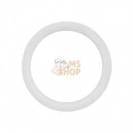 45300607070; ARAG; Joint de rondelle 2"; pièce detachée
