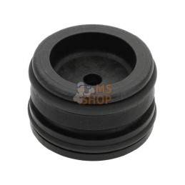 ZF852; AMAZONE; Bouchon obturat. AS40 G1/4 fem; pièce detachée