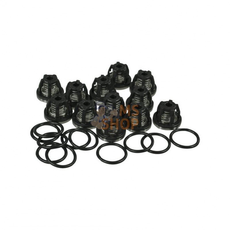 ZF062; AMAZONE; Jeu de soupapes AR250/280; pièce detachée
