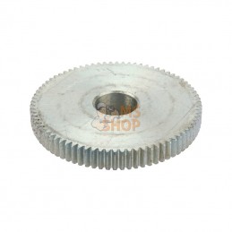 956094; AMAZONE; Pignon avec axe m=1 dts=78 di=20,1; pièce detachée