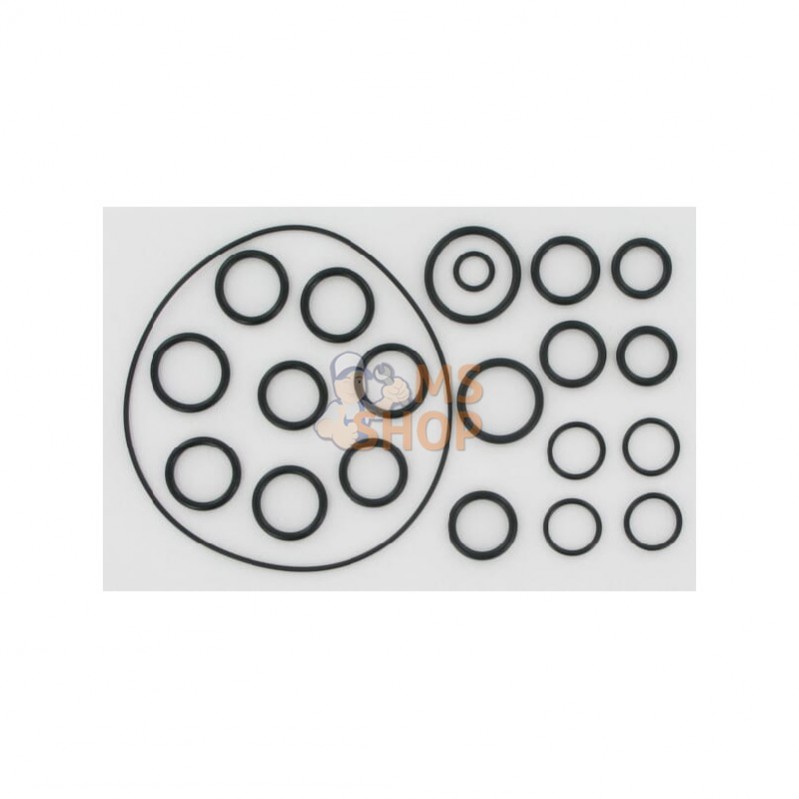 AR2409; ANNOVI REVERBERI; Kit joint toriques AR202/252; pièce detachée AR2409; ANNOVI REVERBERI; Kit joint toriques AR202/252; pièce detachée