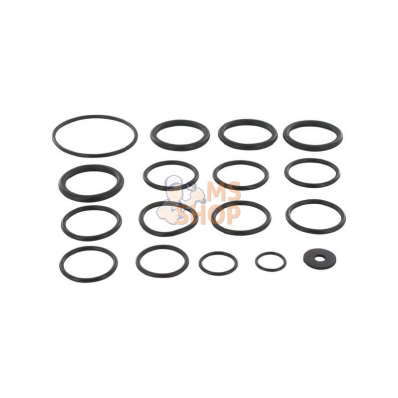 AR2365; ANNOVI REVERBERI; Kit o-bague 2-cil.; pièce detachée AR2365; ANNOVI REVERBERI; Kit o-bague 2-cil.; pièce detachée