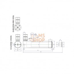 8230108; BETEX; Vérin NSSS 108; pièce detachée