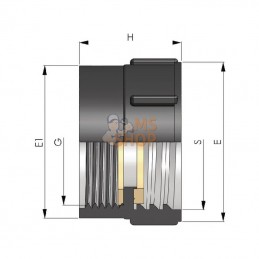 01024540515A8; BDFAST; Adaptateur IBC f/f S100x8 - 2"; pièce detachée