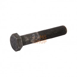 880034YP; BRIGGS & STRATTON; Vis montage villebrequin; pièce detachée