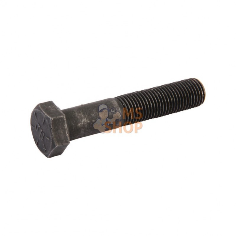 880034YP; BRIGGS & STRATTON; Vis montage villebrequin; pièce detachée