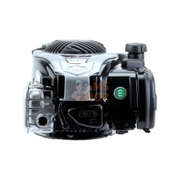 09P7020061H1; BRIGGS & STRATTON; Moteur vertical, 3,9 HP, monocylindre, série 575EX, Briggs & Stratton; pièce detachée