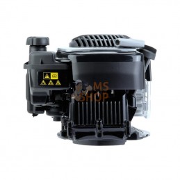 09P7020061H1; BRIGGS & STRATTON; Moteur vertical, 3,9 HP, monocylindre, série 575EX, Briggs & Stratton; pièce detachée