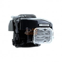 09P7020061H1; BRIGGS & STRATTON; Moteur vertical, 3,9 HP, monocylindre, série 575EX, Briggs & Stratton; pièce detachée