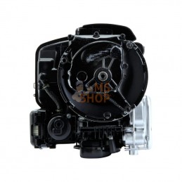 09P7020061H1; BRIGGS & STRATTON; Moteur vertical, 3,9 HP, monocylindre, série 575EX, Briggs & Stratton; pièce detachée