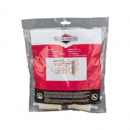 4266; BRIGGS & STRATTON; Filtre carburant (5 x 845125); pièce detachée