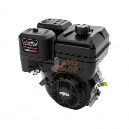 25T2320108F1; BRIGGS & STRATTON; Moteur horizontal, 12,9 HP, monocylindre, série 2100, Briggs & Stratton; pièce detachée