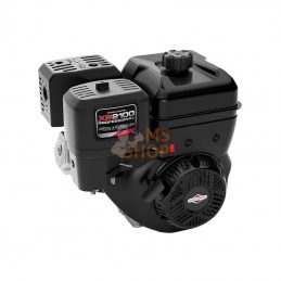 25T2320108F1; BRIGGS & STRATTON; Moteur horizontal, 12,9 HP, monocylindre, série 2100, Briggs & Stratton; pièce detachée