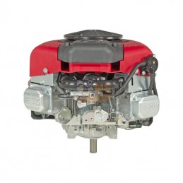 44N6770009B5; BRIGGS & STRATTON; Moteur vertical, 23,7 HP, 2 cylindres, série 8240, Briggs & Stratton; pièce detachée
