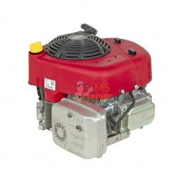 21R6070009H5; BRIGGS & STRATTON; Moteur vertical, 13,3 HP, monocylindre, série 3115, Briggs & Stratton; pièce detachée