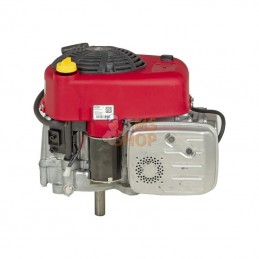 21R6070009H5; BRIGGS & STRATTON; Moteur vertical, 13,3 HP, monocylindre, série 3115, Briggs & Stratton; pièce detachée